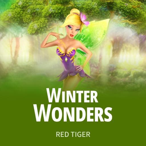 Winter Wonders